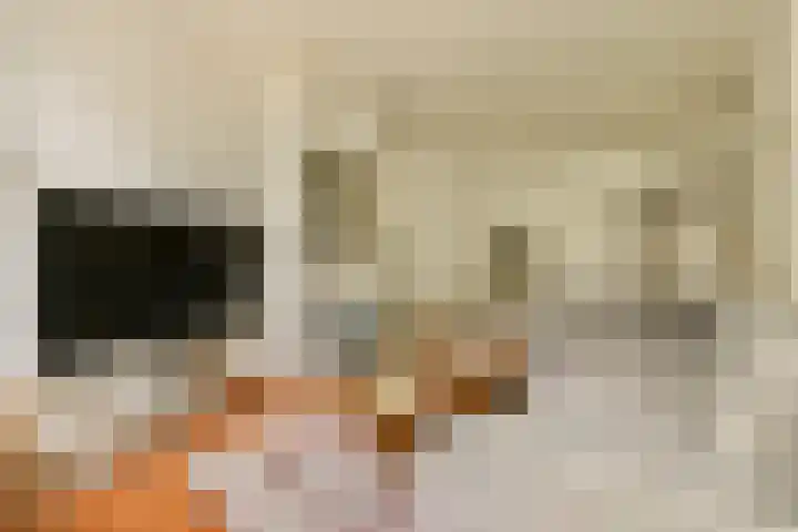 Eerste Hugo de Grootstraat 8 3 Amsterdam thumbnail 4