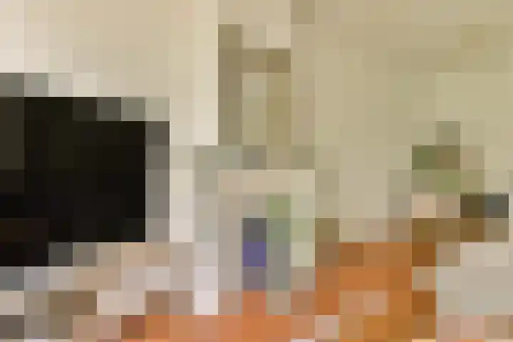 Eerste Hugo de Grootstraat 8 3 Amsterdam thumbnail 5