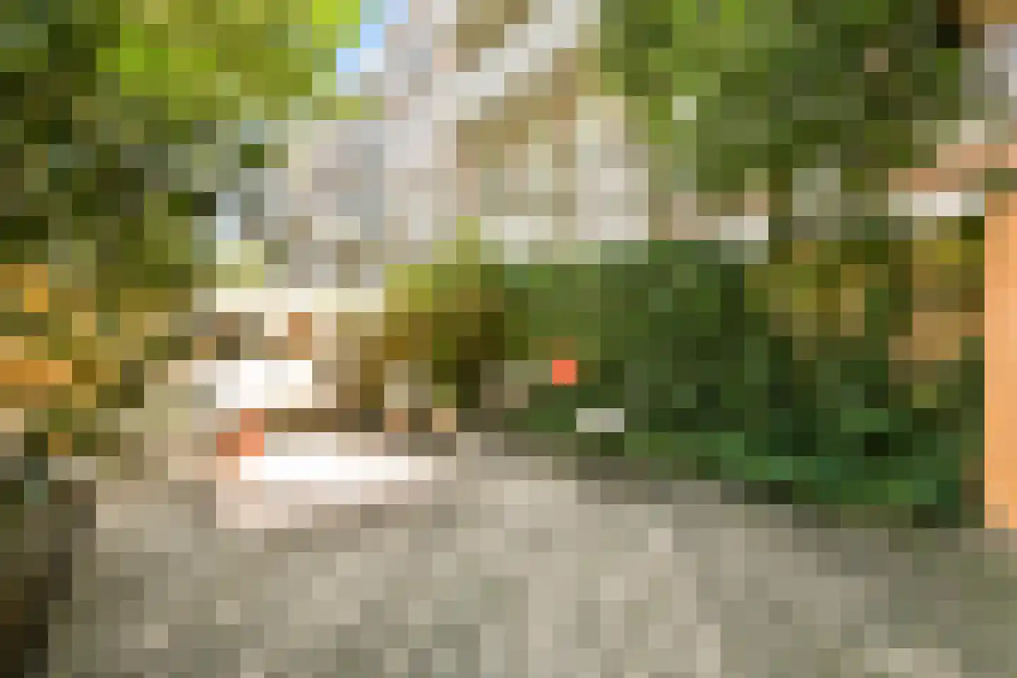 Eerste Hugo de Grootstraat 8 H Amsterdam thumbnail 10