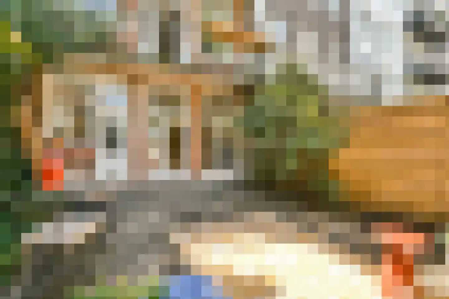 Eerste Hugo de Grootstraat 8 H Amsterdam thumbnail 11