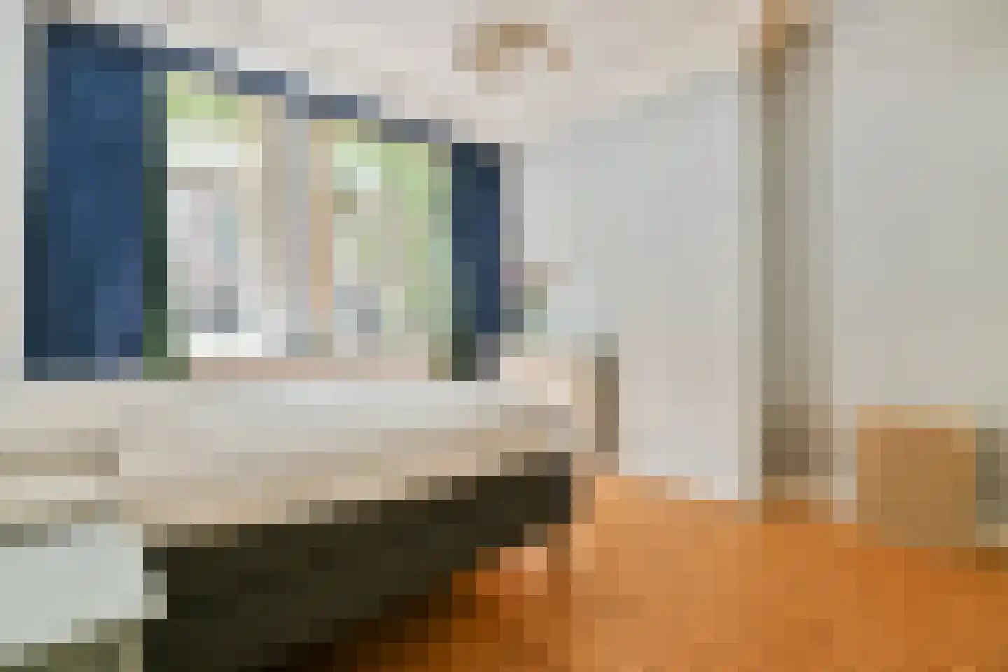Eerste Hugo de Grootstraat 8 H Amsterdam thumbnail 12