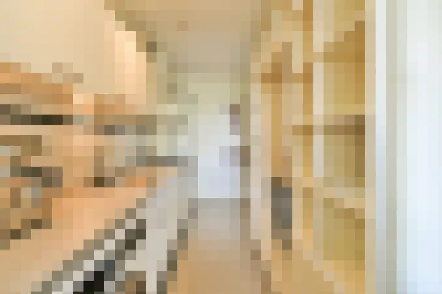 Eerste Hugo de Grootstraat 8 H Amsterdam thumbnail 9