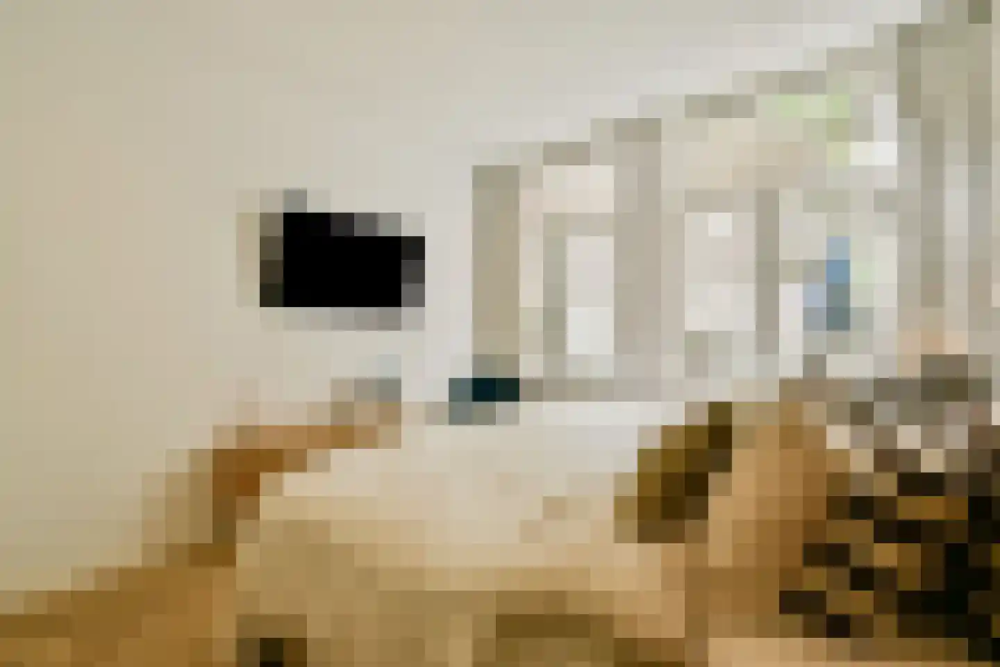 Eerste Hugo de Grootstraat 9 H Amsterdam thumbnail 13
