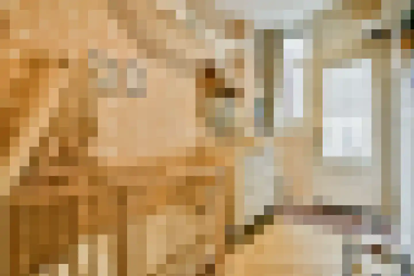 Eerste Hugo de Grootstraat 9 H Amsterdam thumbnail 15