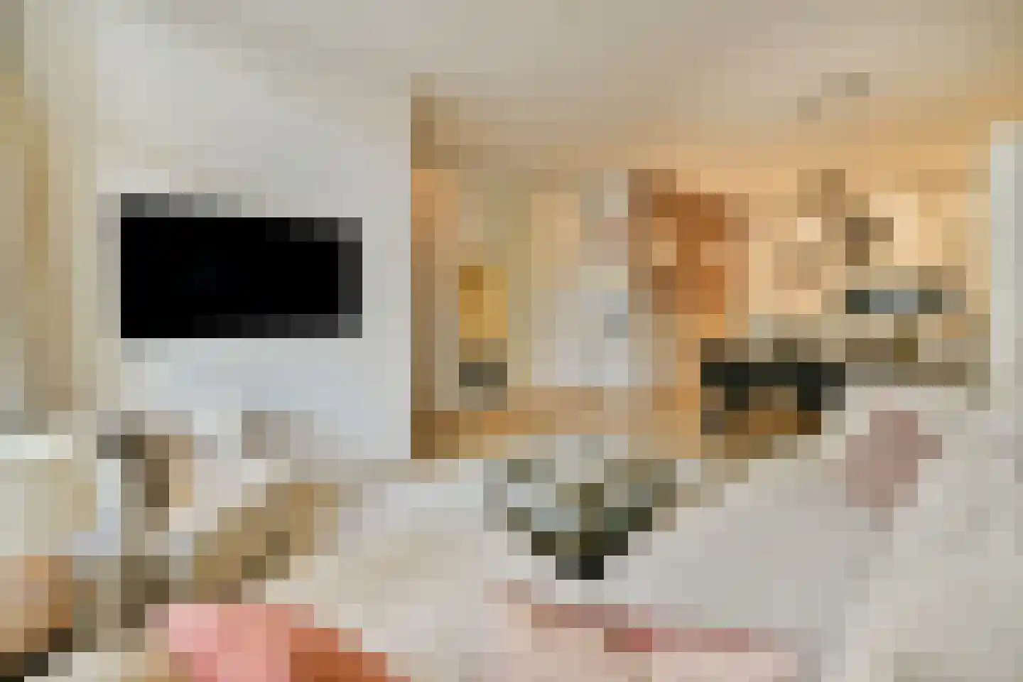 Eerste Hugo de Grootstraat 9 H Amsterdam thumbnail 4