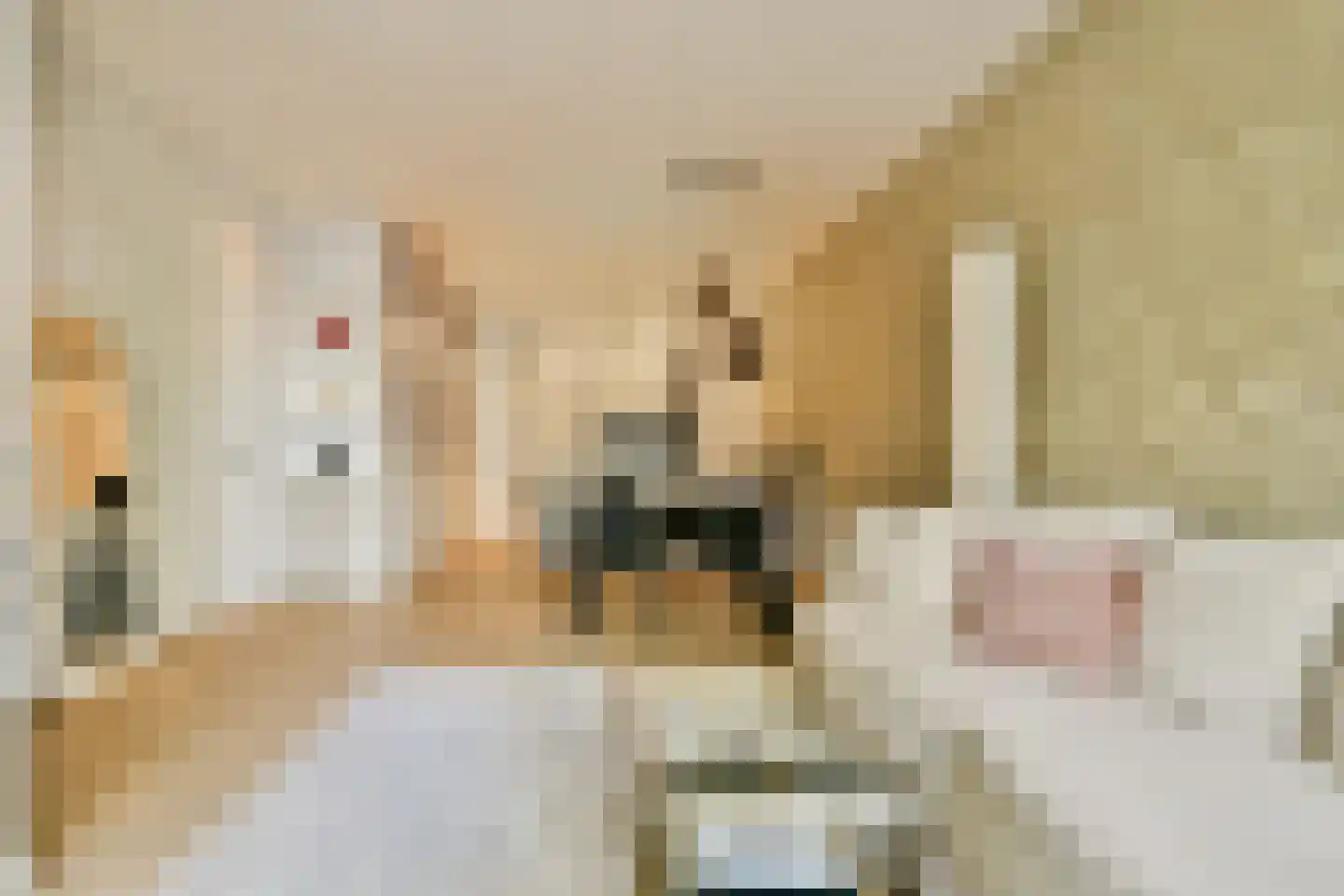 Eerste Hugo de Grootstraat 9 H Amsterdam thumbnail 5