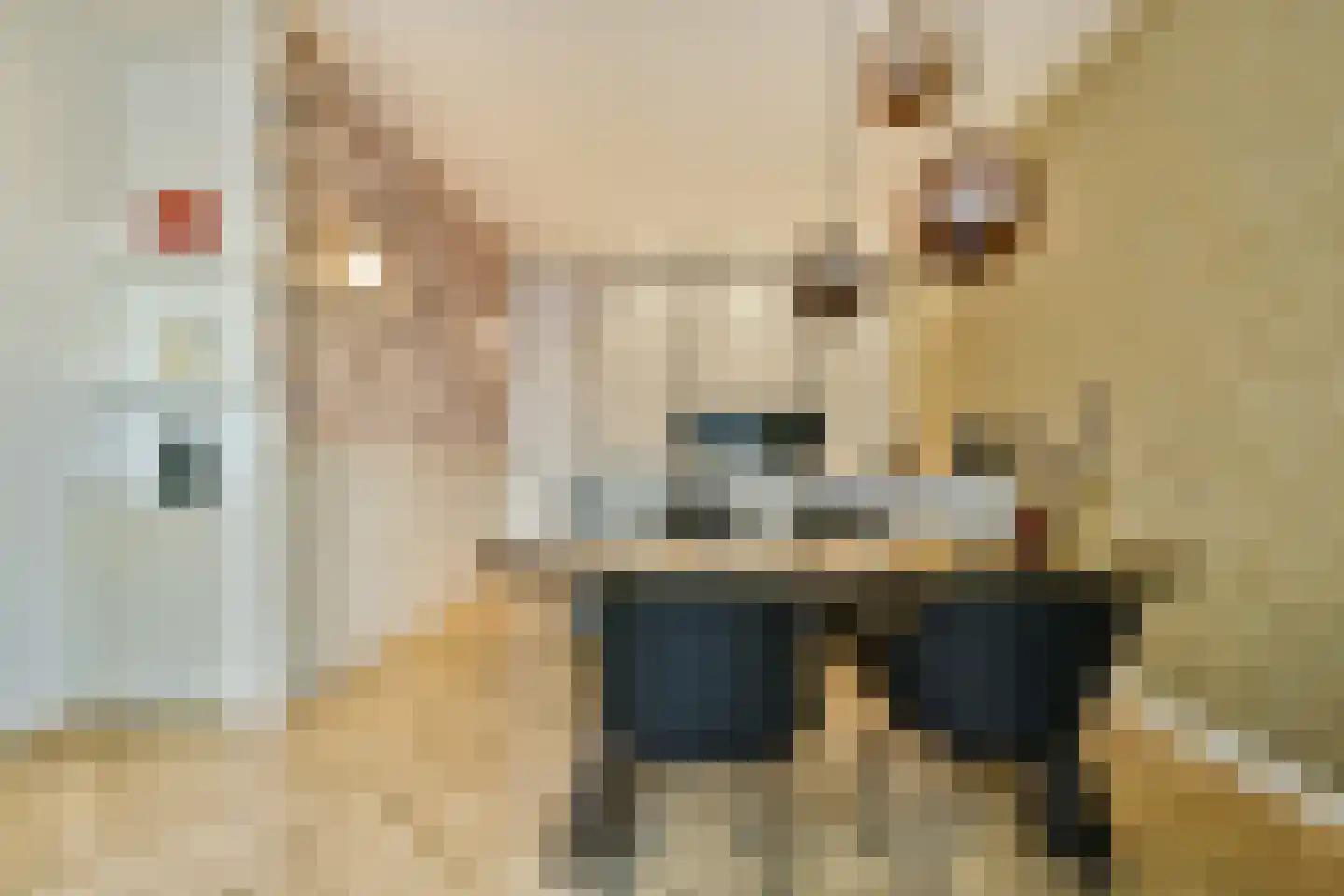Eerste Hugo de Grootstraat 9 H Amsterdam thumbnail 8