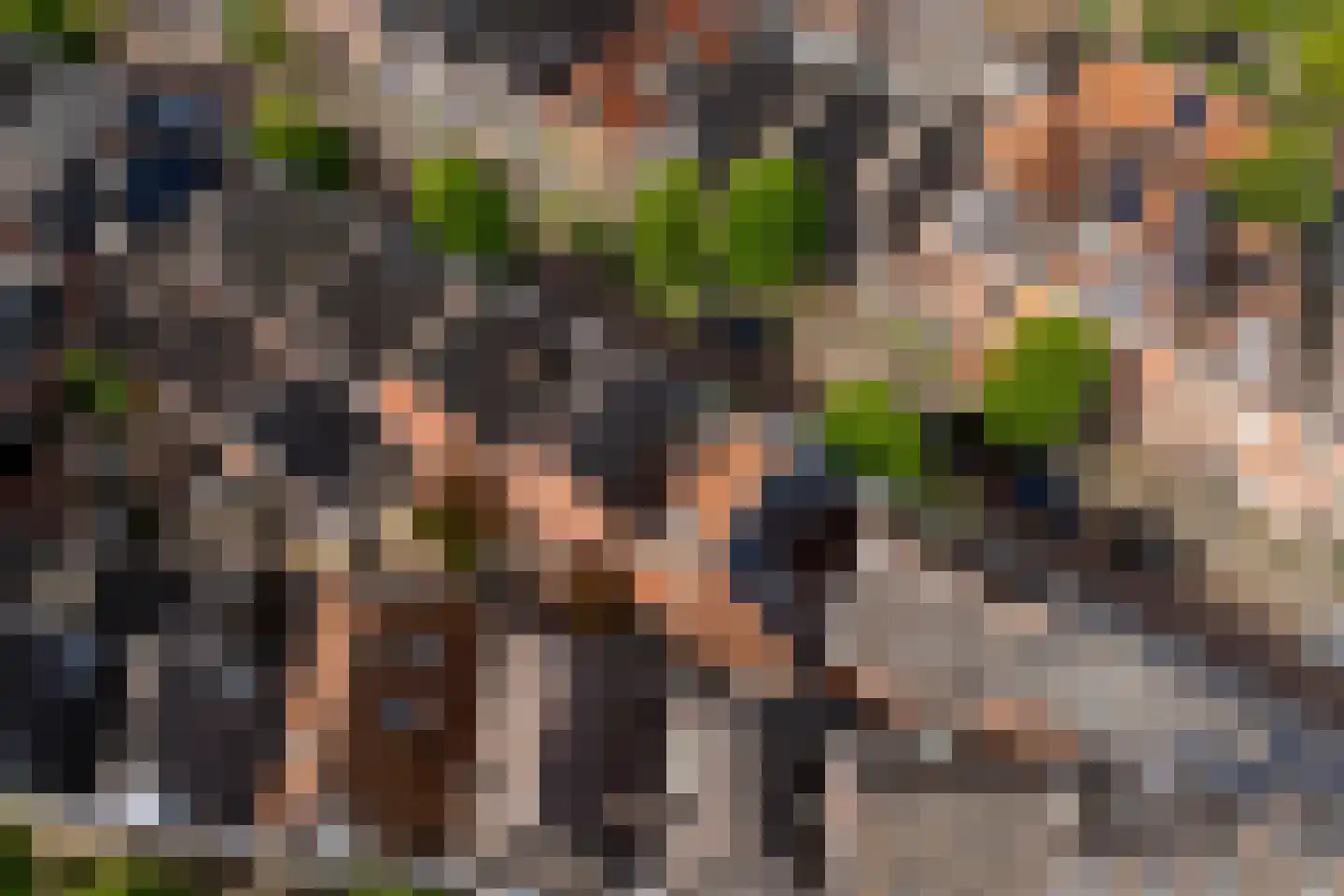 Eerste Hunzestraat 25 a Groningen thumbnail 23