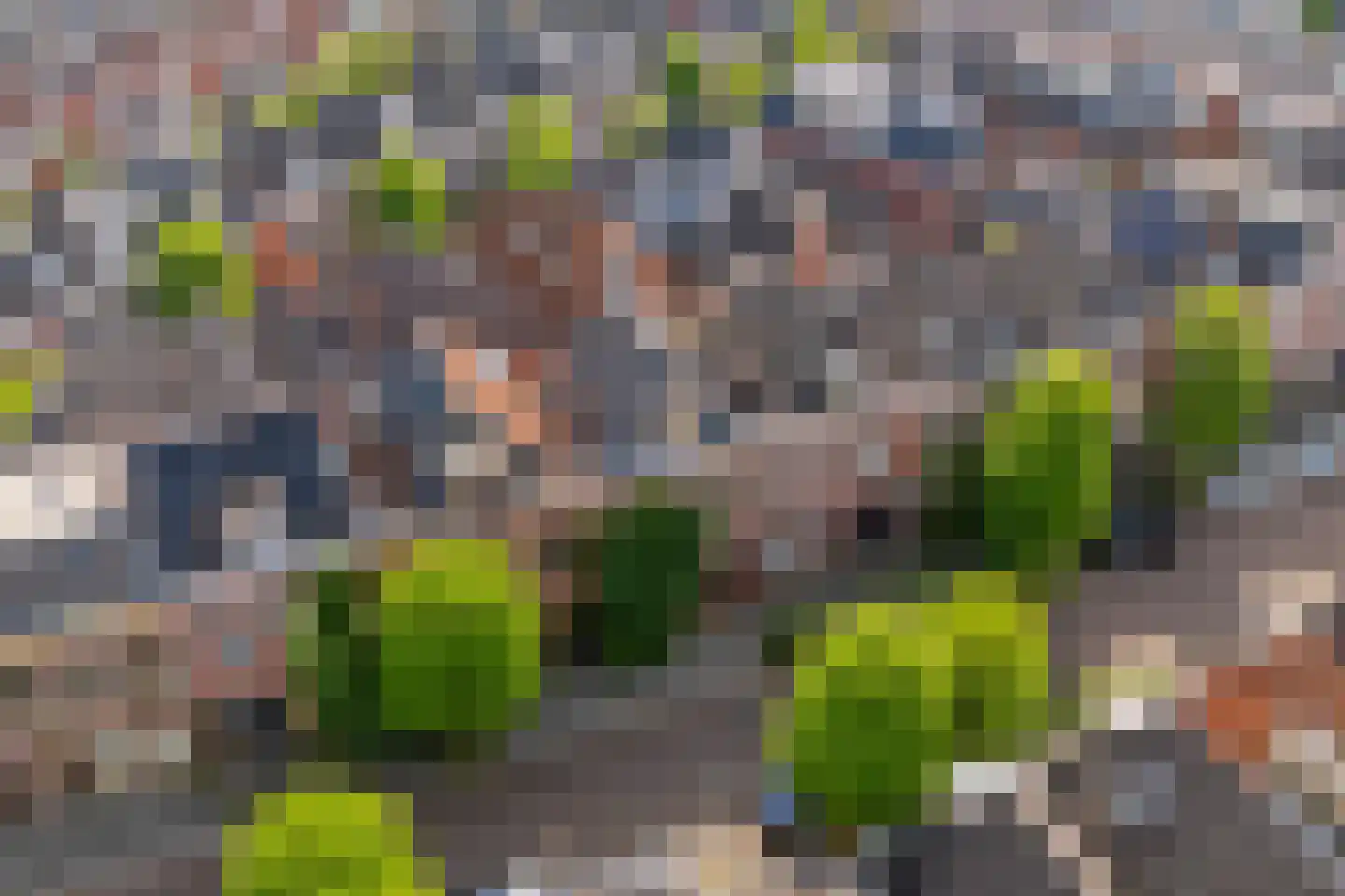 Eerste Hunzestraat 25 a Groningen thumbnail 4
