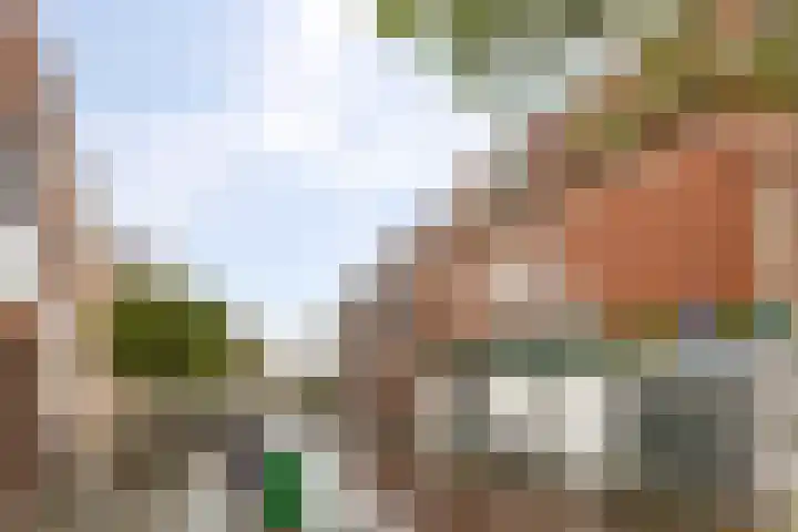 Eerste Hunzestraat 3 c Groningen thumbnail 29