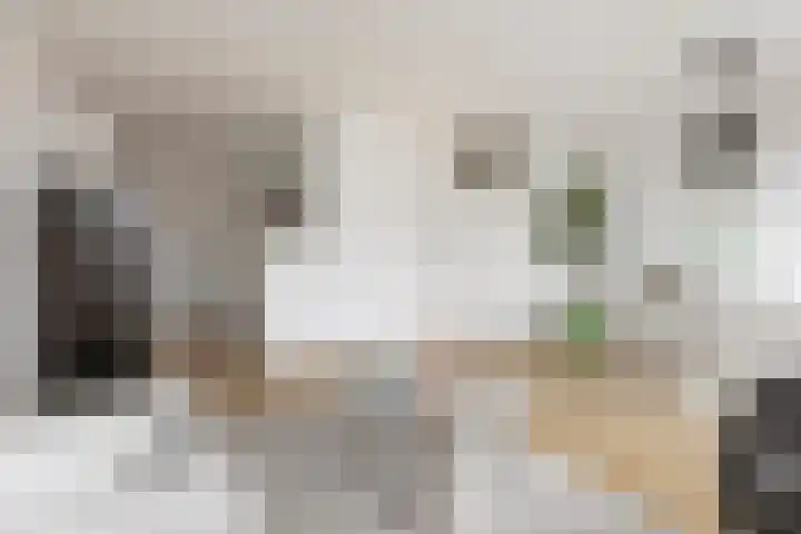 Eerste Hunzestraat 3 c Groningen thumbnail 9
