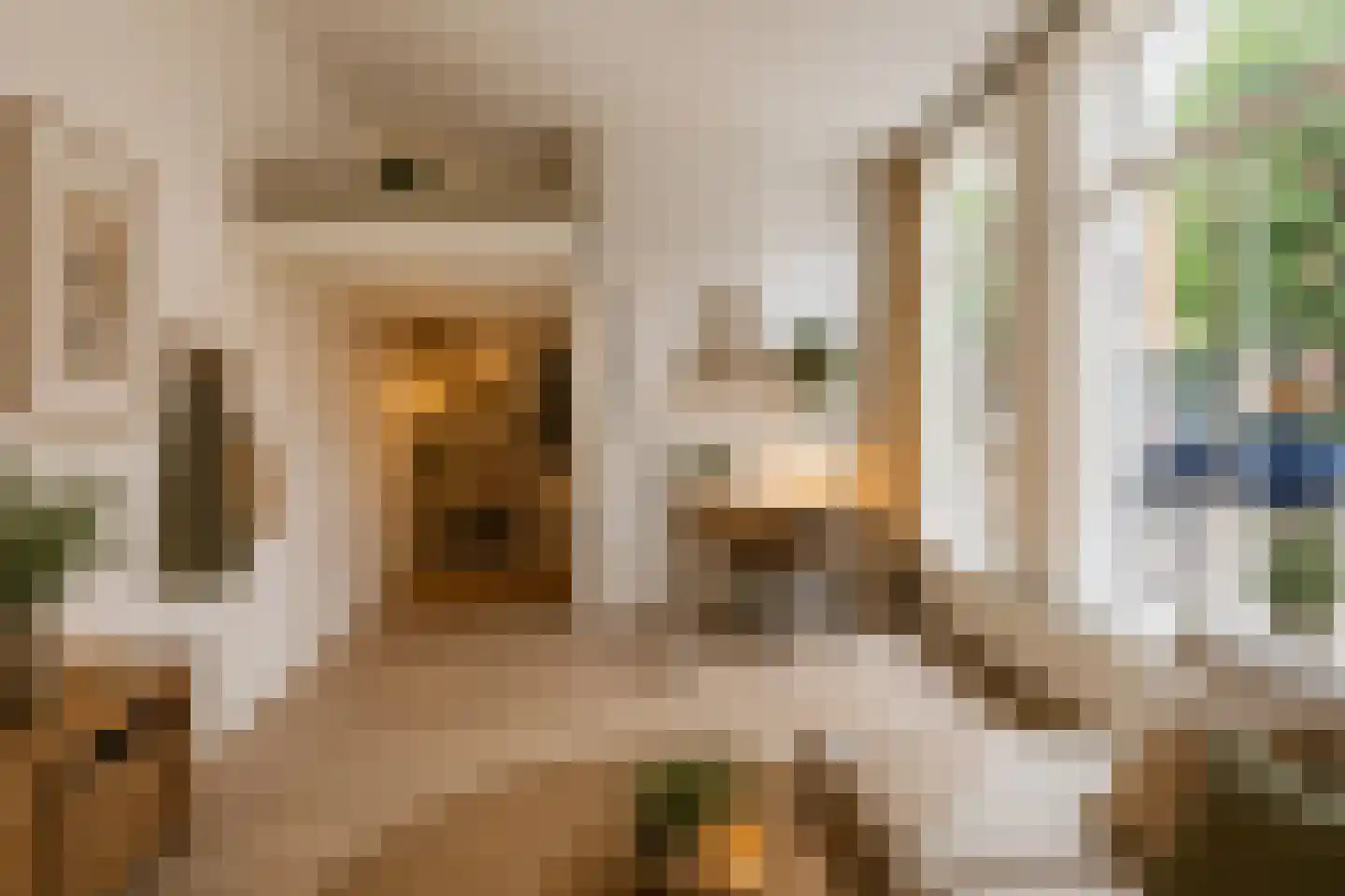 Eerste Hunzestraat 31 Groningen thumbnail 17