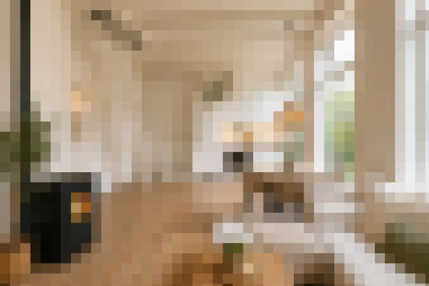 Eerste Hunzestraat 31 Groningen thumbnail 26