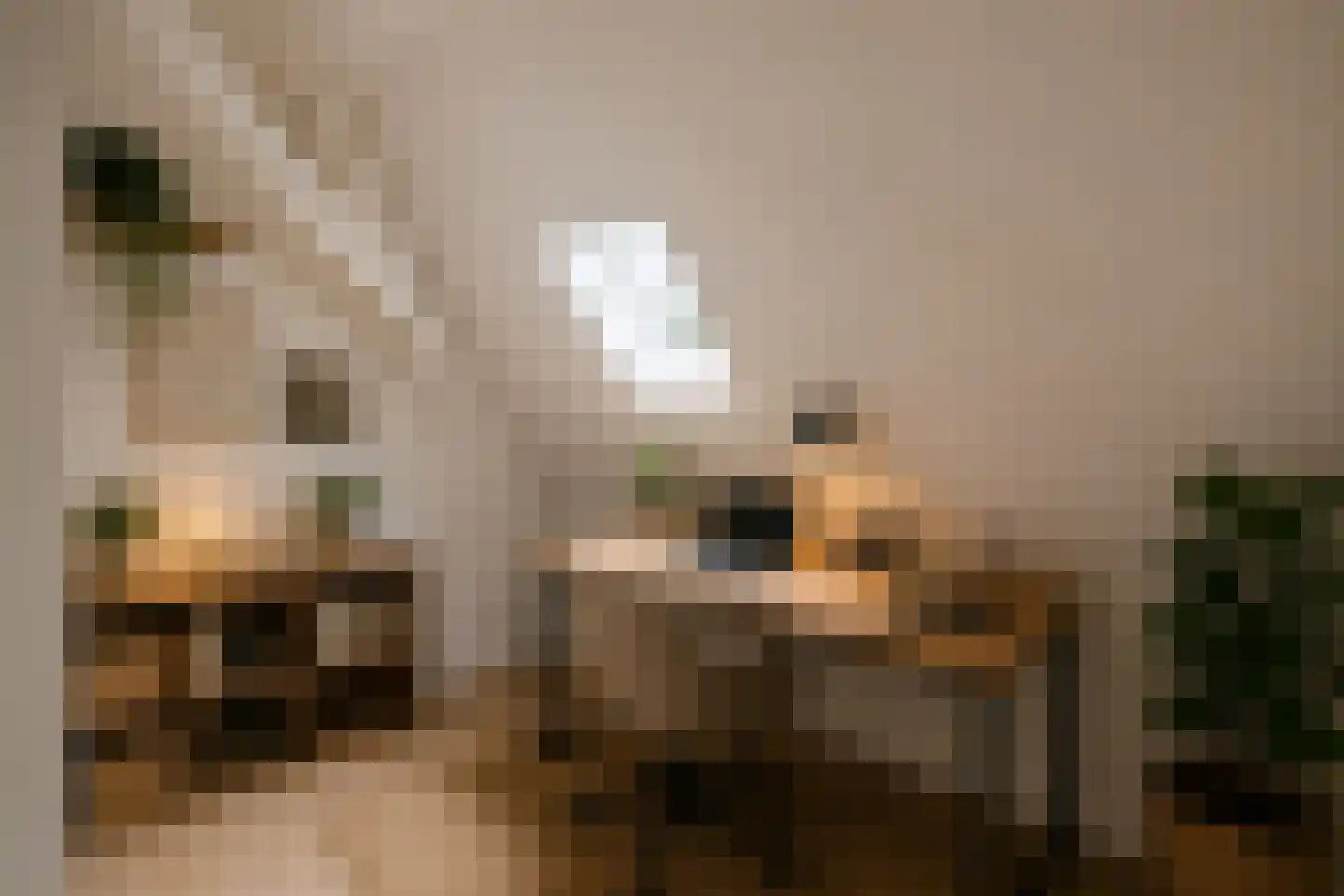 Eerste Hunzestraat 31 Groningen thumbnail 33