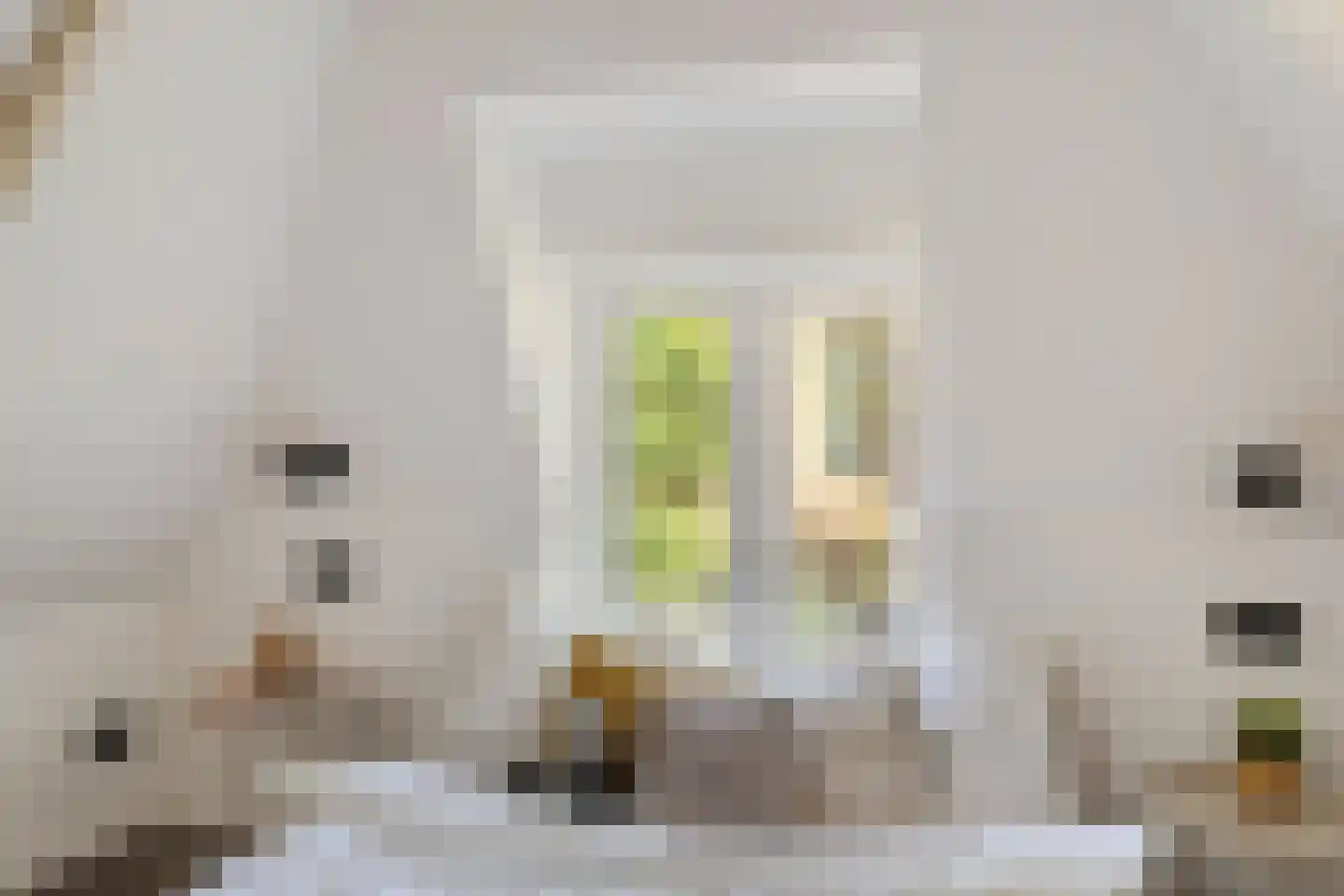 Eerste Hunzestraat 36 Groningen thumbnail 26