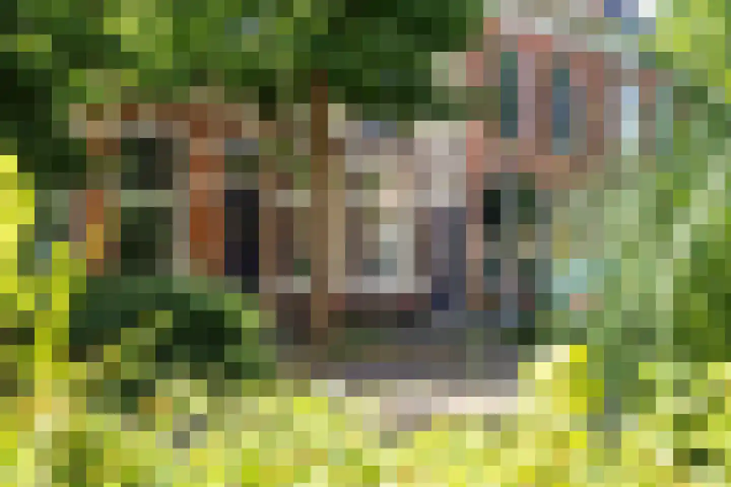 Eerste Hunzestraat 36 Groningen thumbnail 31