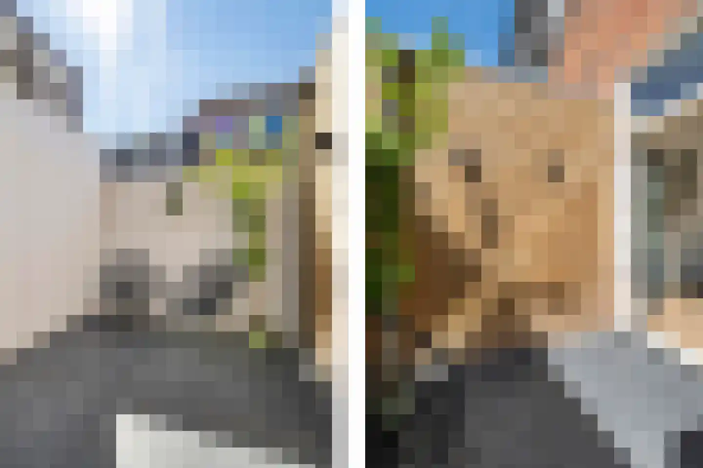 Eerste Hunzestraat 36 Groningen thumbnail 4