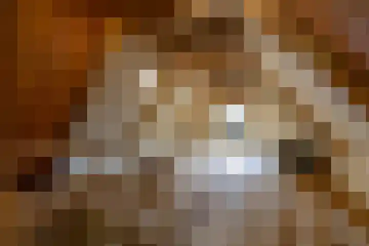 Eerste Hunzestraat 36 Groningen thumbnail 9