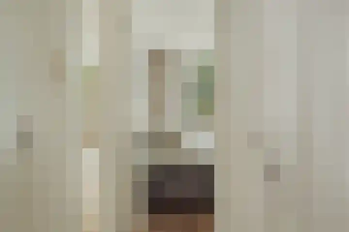 Eerste Jacob van Campenstraat 20 3 Amsterdam thumbnail 13