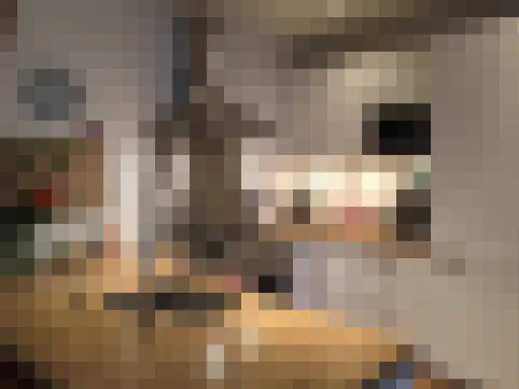 Eerste Jacob van Campenstraat 22 Amsterdam thumbnail 5