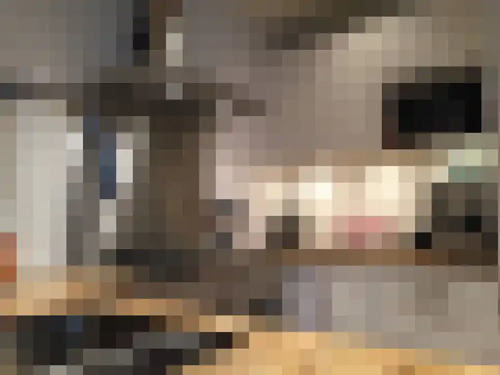 Eerste Jacob van Campenstraat 22 Amsterdam thumbnail 6