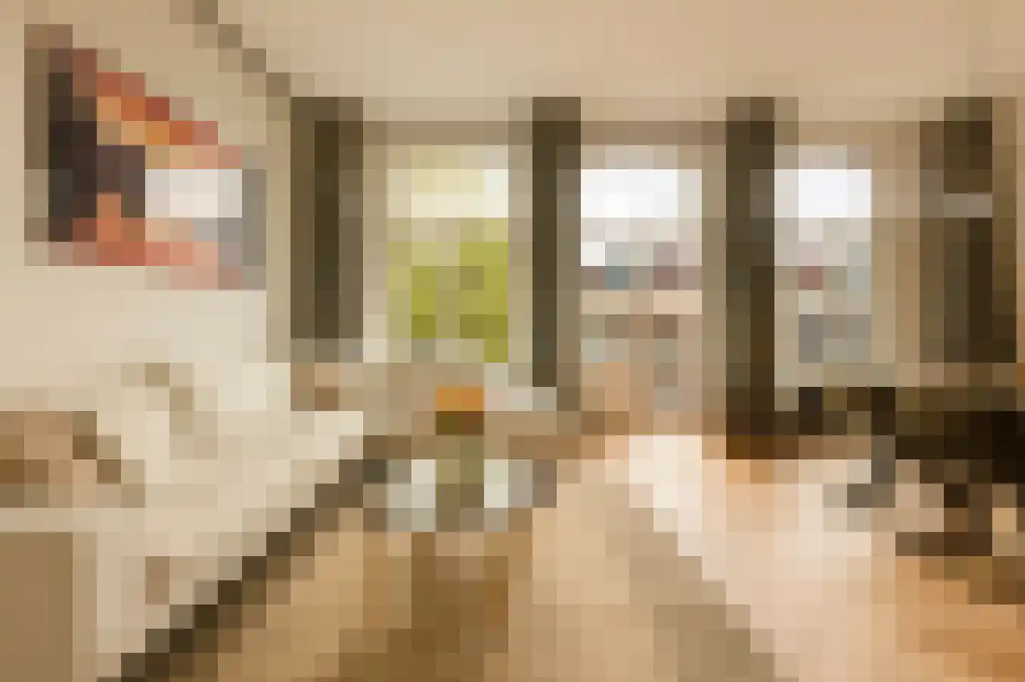 Eerste Jacob van Campenstraat 23 2 Amsterdam thumbnail 11