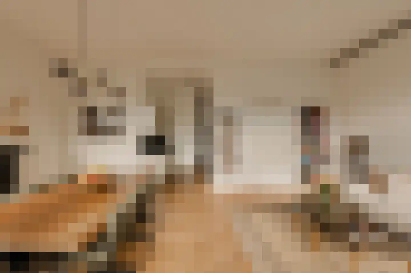 Eerste Jacob van Campenstraat 23 2 Amsterdam thumbnail 19