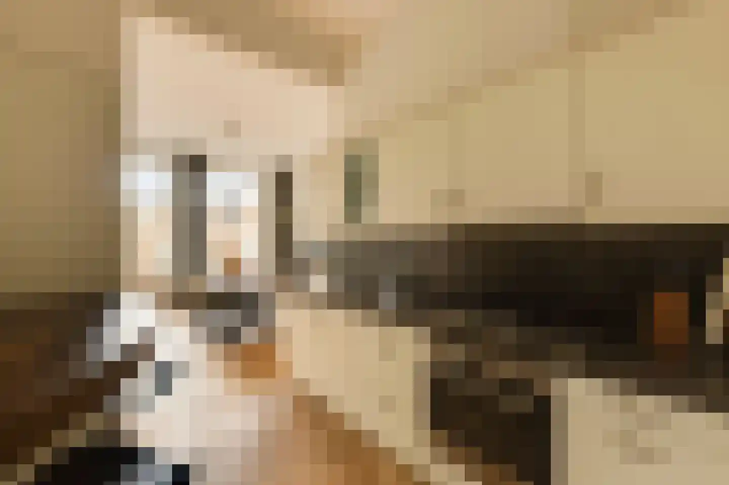 Eerste Jacob van Campenstraat 23 2 Amsterdam thumbnail 21