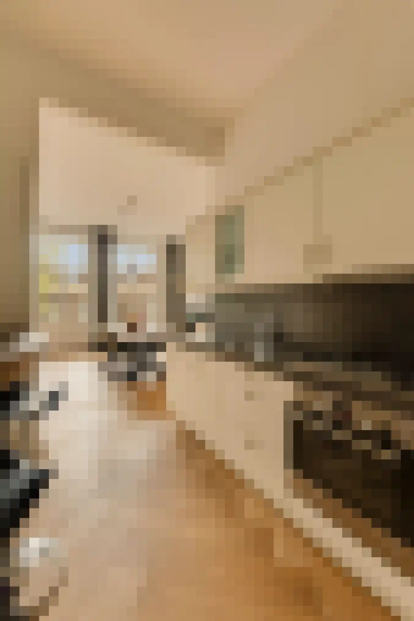 Eerste Jacob van Campenstraat 23 2 Amsterdam thumbnail 22