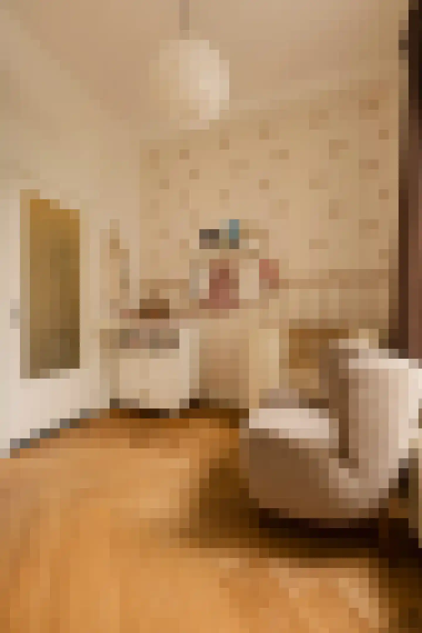 Eerste Jacob van Campenstraat 23 2 Amsterdam thumbnail 27