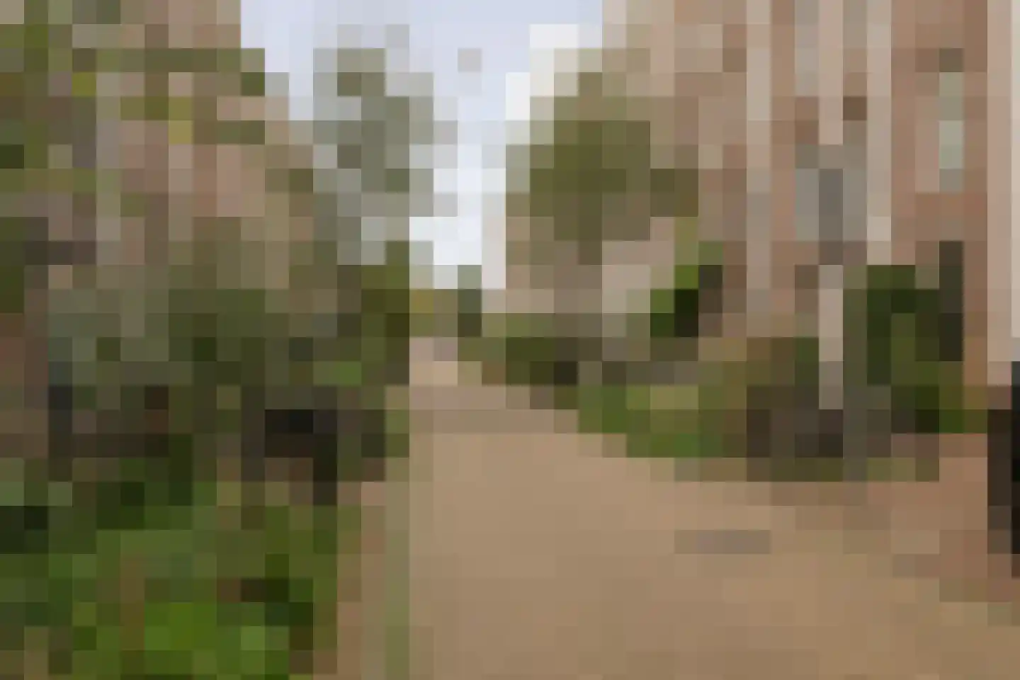Eerste Jacob van Campenstraat 23 2 Amsterdam thumbnail 36