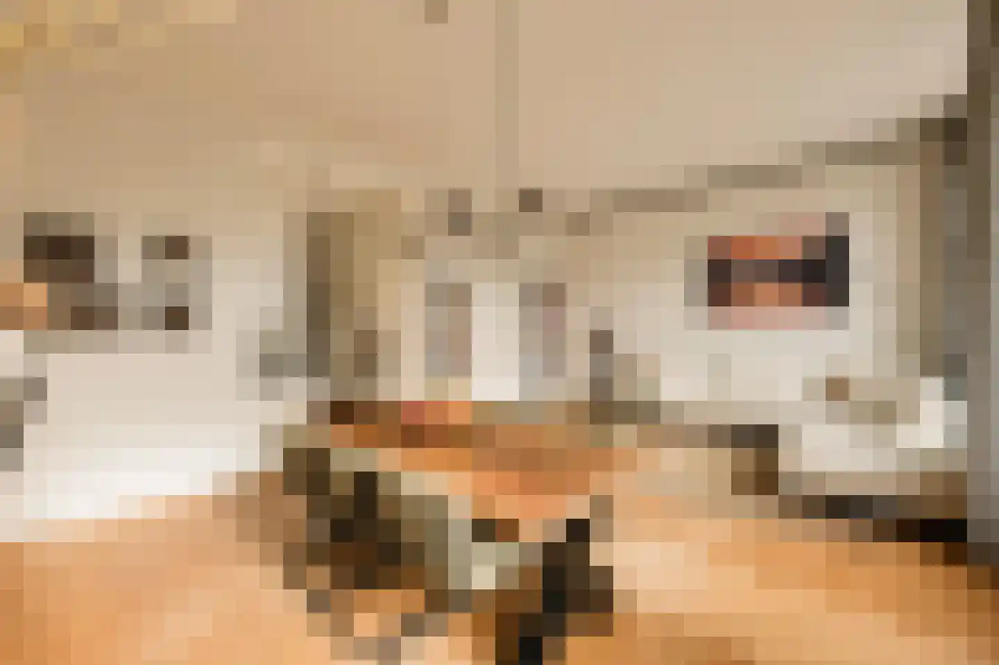 Eerste Jacob van Campenstraat 23 2 Amsterdam thumbnail 5