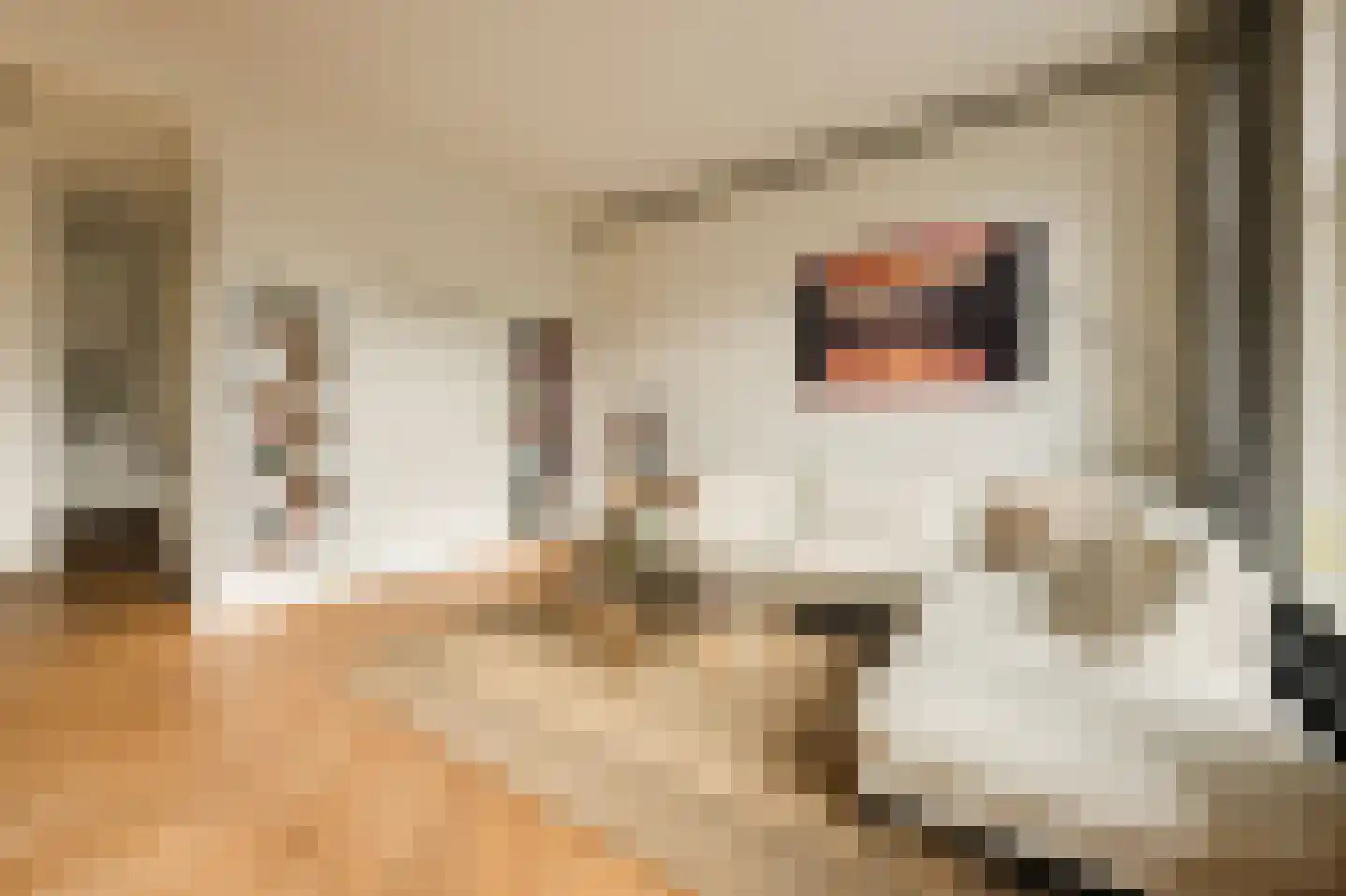 Eerste Jacob van Campenstraat 23 2 Amsterdam thumbnail 6