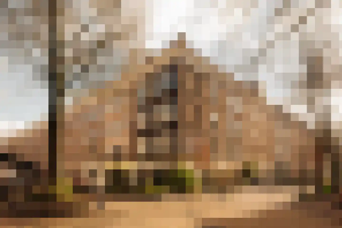 Eerste Jacob van Campenstraat 36 4 Amsterdam thumbnail 4