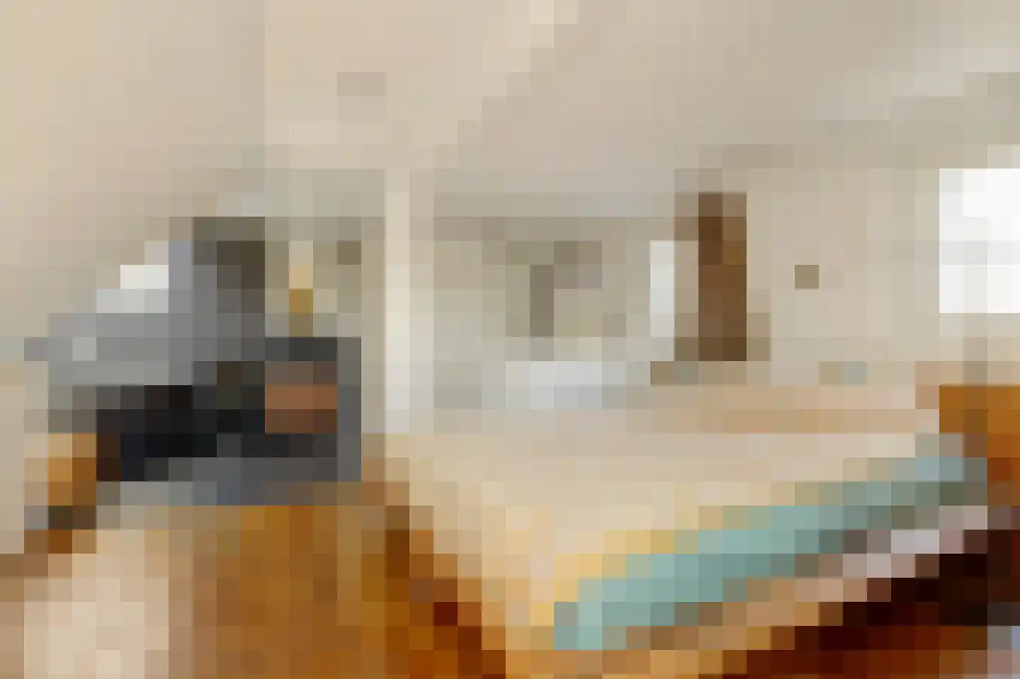 Eerste Jacob van Campenstraat 46 3 Amsterdam thumbnail 13