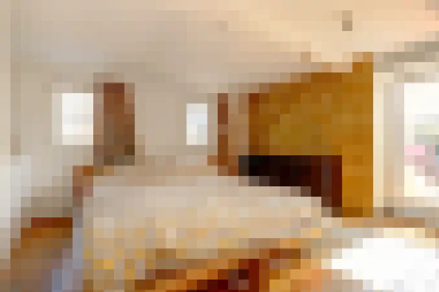 Eerste Jacob van Campenstraat 46 3 Amsterdam thumbnail 14