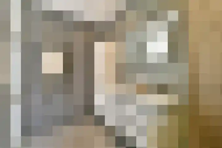 Eerste Jacob van Campenstraat 52 3 Amsterdam thumbnail 15