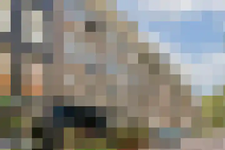 Eerste Jacob van Campenstraat 52 3 Amsterdam thumbnail 18