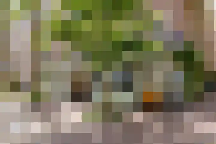 Eerste Jacob van Campenstraat 52 3 Amsterdam thumbnail 21