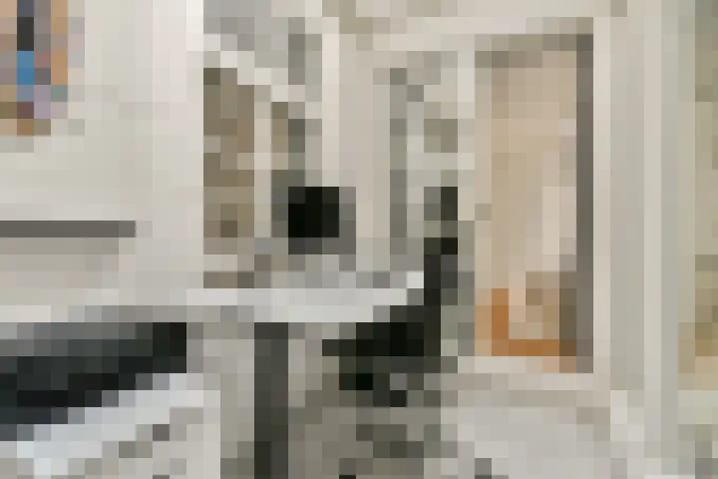 Eerste Jacob van Campenstraat 53 1 Amsterdam thumbnail 18