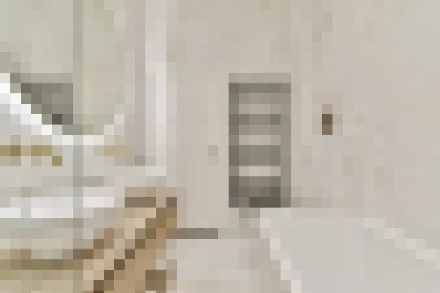 Eerste Jacob van Campenstraat 53 1 Amsterdam thumbnail 20