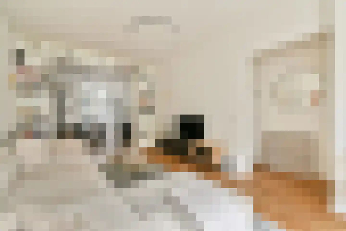 Eerste Jacob van Campenstraat 53 1 Amsterdam thumbnail 4