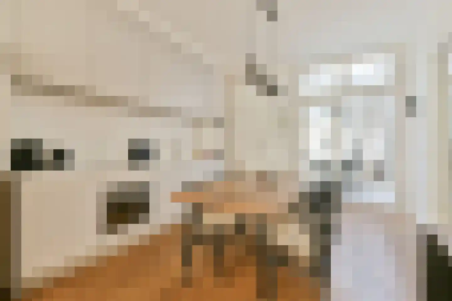 Eerste Jacob van Campenstraat 53 1 Amsterdam thumbnail 6