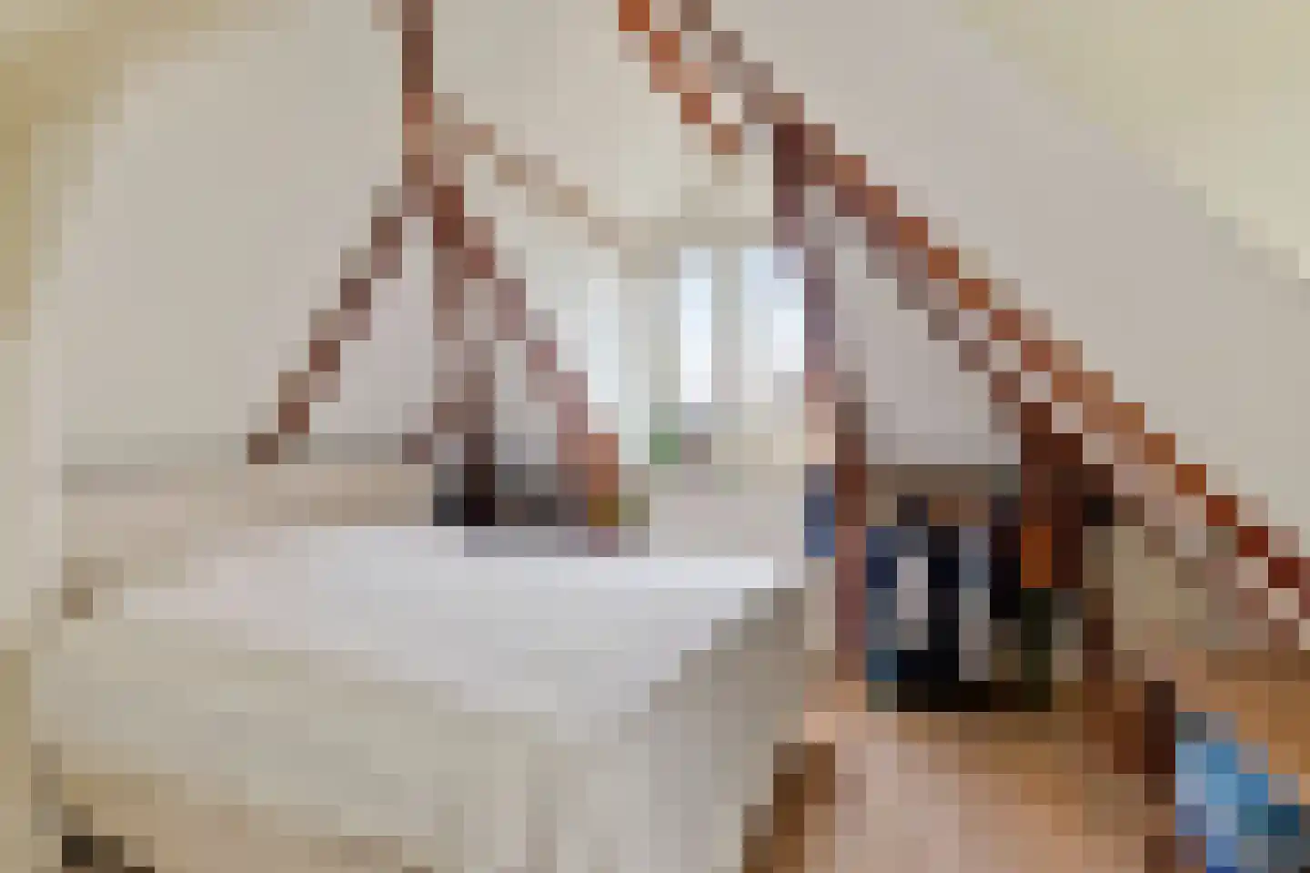 Eerste Jacob van Campenstraat 53 4 Amsterdam thumbnail 10