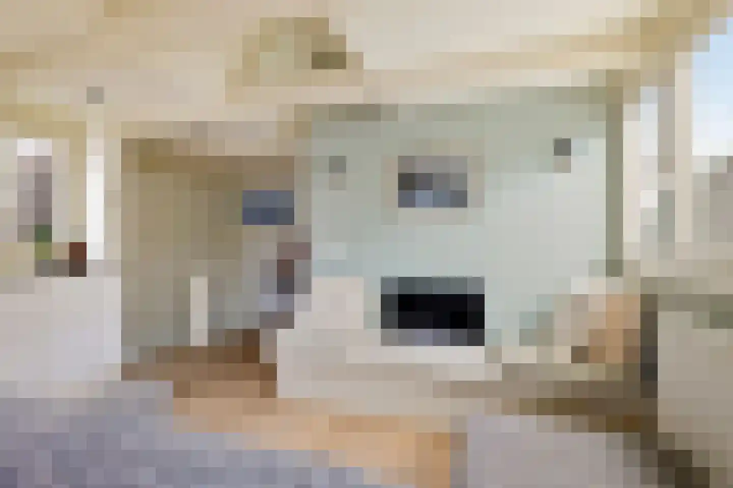 Eerste Jacob van Campenstraat 53 4 Amsterdam thumbnail 8