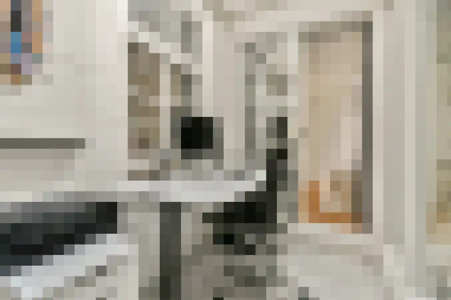 Eerste Jacob van Campenstraat 53 H Amsterdam thumbnail 19