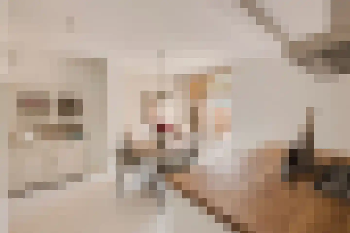 Eerste Jacob van Campenstraat 54 1 Amsterdam thumbnail 12