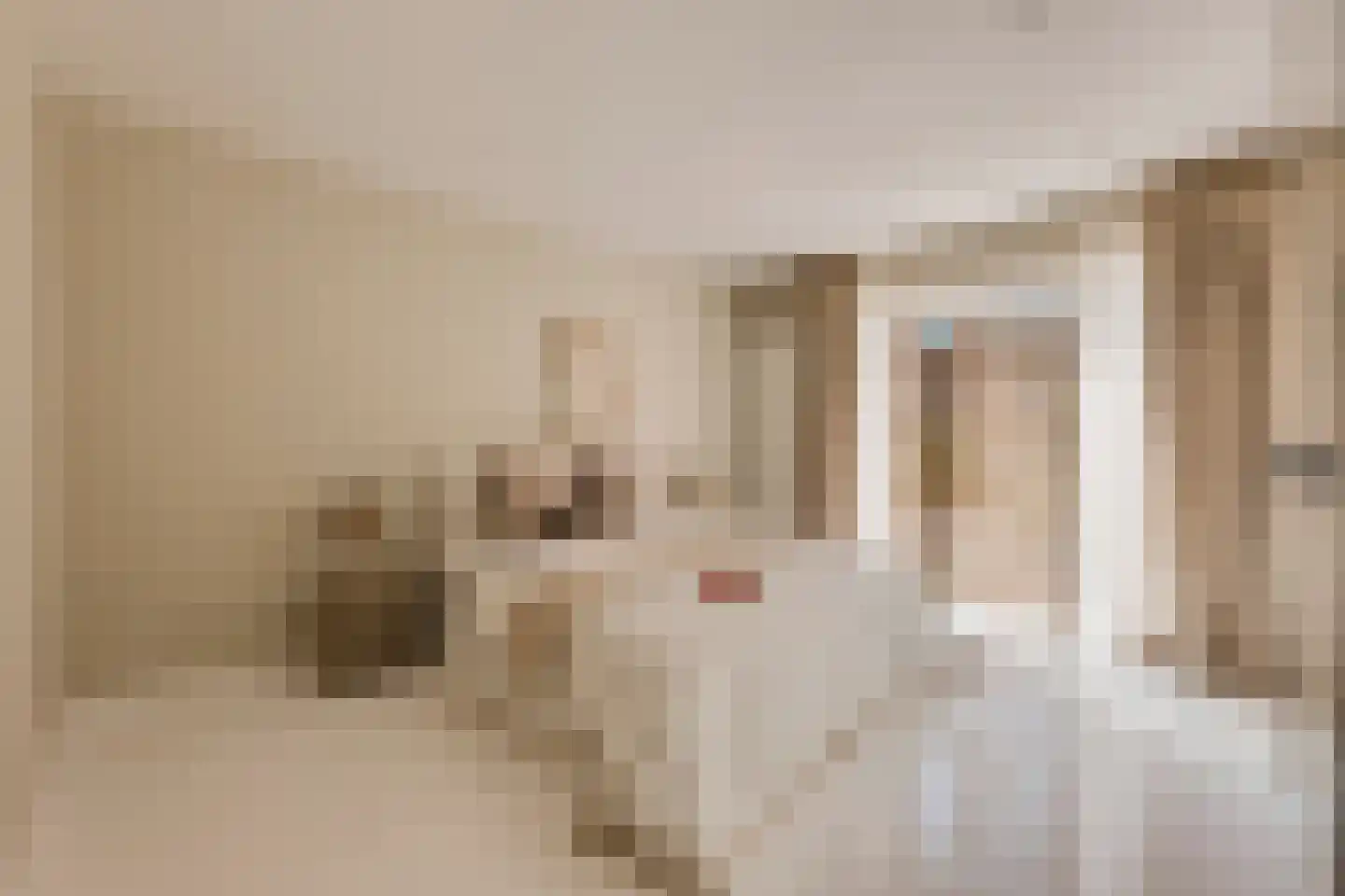 Eerste Jacob van Campenstraat 54 1 Amsterdam thumbnail 13