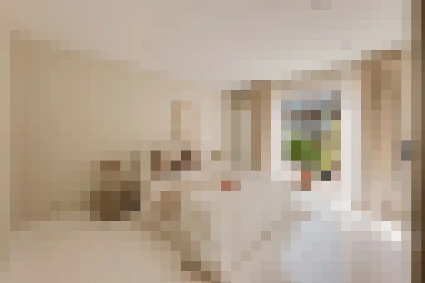 Eerste Jacob van Campenstraat 54 1 Amsterdam thumbnail 14