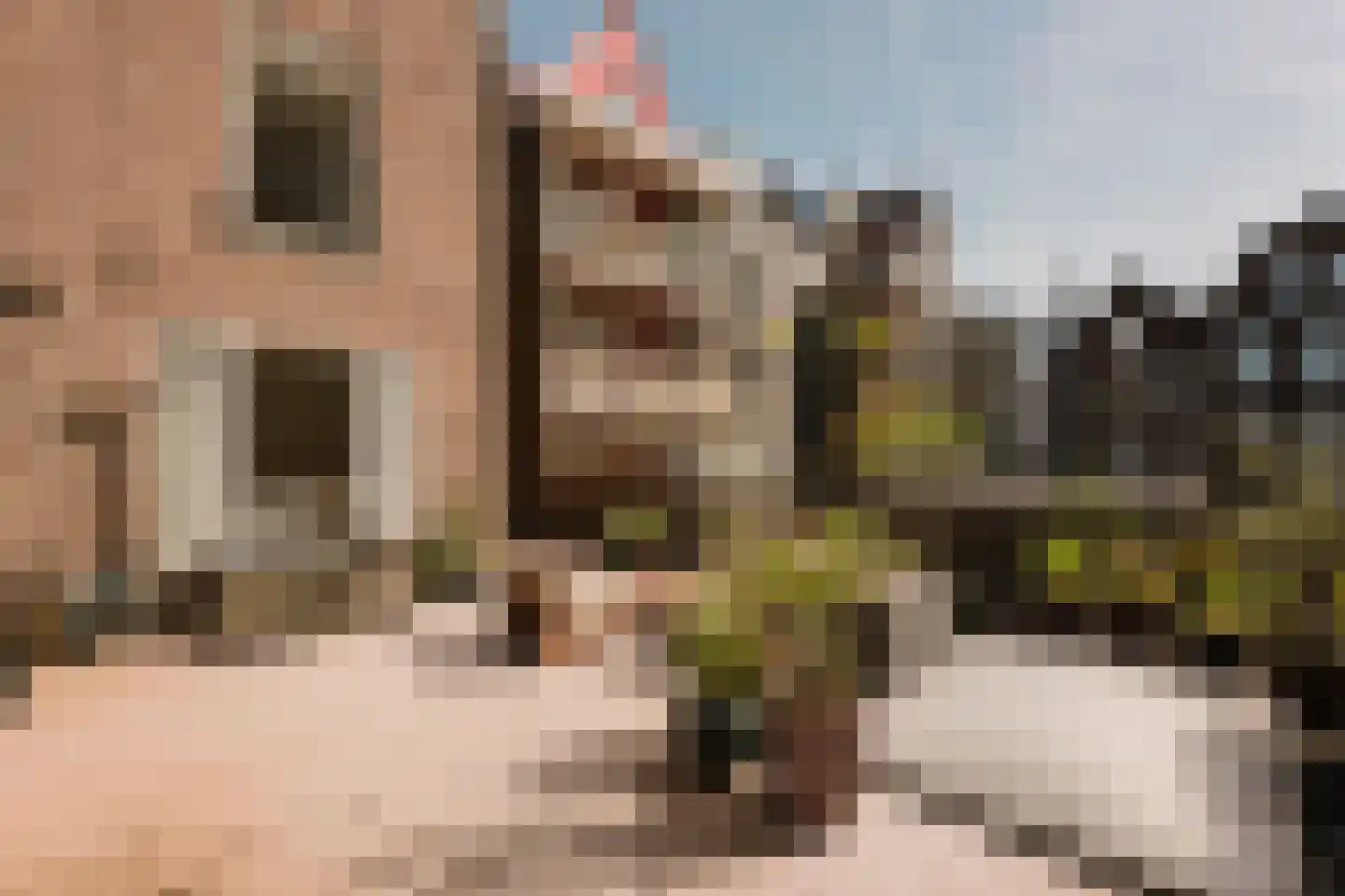 Eerste Jacob van Campenstraat 54 1 Amsterdam thumbnail 18